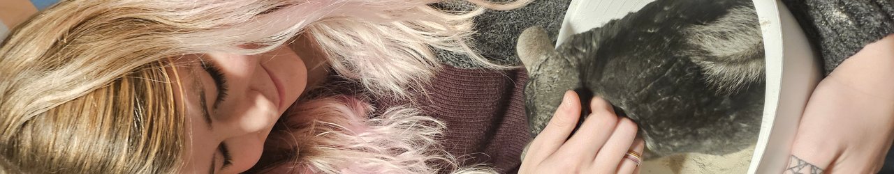 Life with Ray and Paddy: Chinchilla Rescue Stories