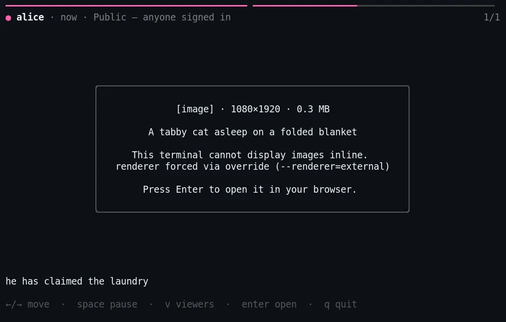 In terminals without graphics support, gh stories shows the image's size and alt text and offers to open it in the browser.