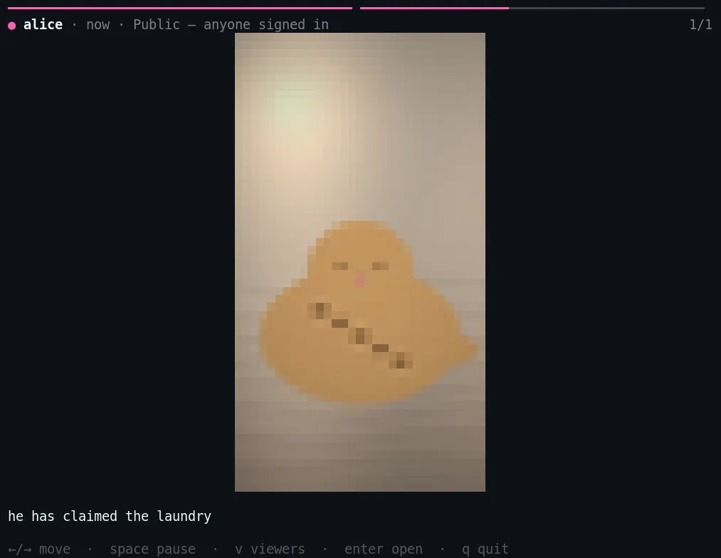The same kind of Story drawn as real pixels inside the kitty terminal by gh stories, with caption and key hints.
