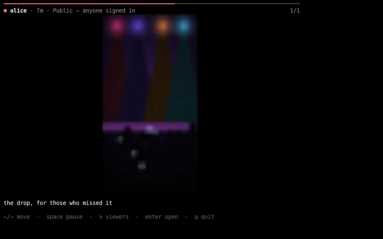 Two moments of a Story video playing inline in kitty; the progress bar advances between frames.
