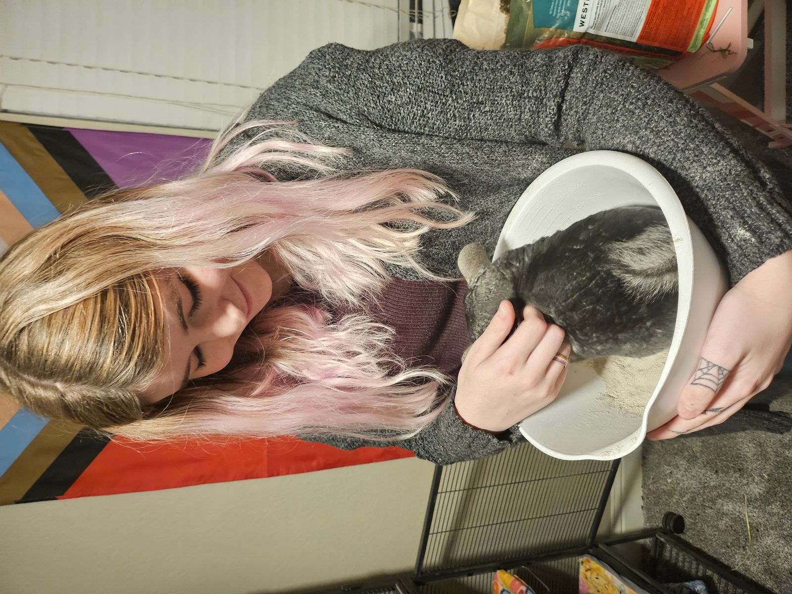 Life with Ray and Paddy: Chinchilla Rescue Stories